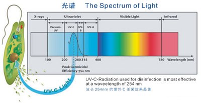紫外线指数多少算高？