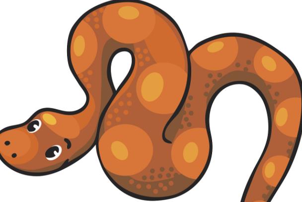 深圳工地发现50斤蟒蛇，这蛇是否会伤害人类？