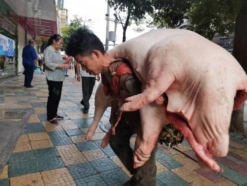 贵阳背肉汉一早晨背480斤猪肉走红，他是如何回应的？