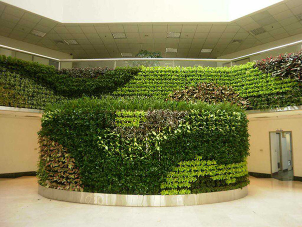 绿植墙用什么材料做多少钱一平方
